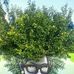 Maria Uria - Facebook