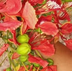 Maria Urive - Facebook