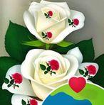 Maria Lucas Vail - Facebook