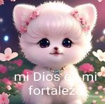Maria Vail - Facebook