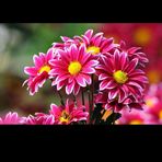 Maria Vail - Facebook