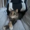 mariavance222 - @mariavance222 - TikTok