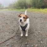 Maria Vea Lund - @vealund - Instagram
