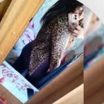 @mariaveas182910 - Instagram