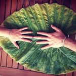 maria - @maria.vecchione76 - Instagram