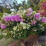 Maria Vendrell - Facebook
