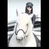 mariaverma0 - @mariaverma0 - TikTok