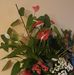 Maria Vesa - Facebook