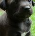 Maria vick - Facebook