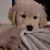 Maria vick - @maria.vick69 - TikTok