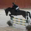 mariavidal - @mariavidals_ - TikTok