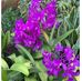 Maria Viernes - Facebook