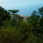 ana maria vigario - @avigario - Instagram