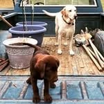 Maria Wainwright - @mariawainwright - Instagram