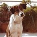 Maria Weimue - Facebook