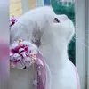 Senorita  Maria魏 - @weimaria - TikTok