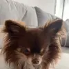 mariatrierweiler - @mariatrierweiler - TikTok
