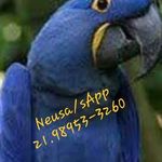 Neusa Maria Weinstein - @neuzamariaweinstei - Instagram