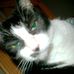 Maria Westbrook - Facebook