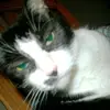 mariawestbrook377 - @mariawestbrook377 - TikTok