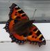 Maria Whelan - Facebook