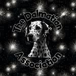Maria Whiting - @the_new_dalmatian_club_uk - Instagram
