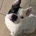 Maria Wilde - Facebook