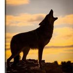 Maria Wiley - @mpwiley - Instagram