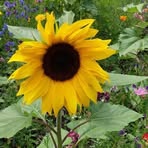 Maria Winder - Facebook