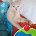 Maria Yebra - Facebook