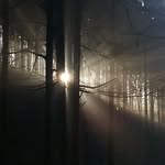 Maria Yoder - @maryann1321 - Instagram