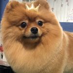 Мария Грязева - @maria_york_ - Instagram