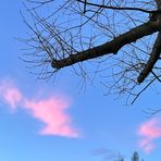 Maria Atkins - Facebook