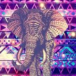 mariah barnett - @i_love_u_bubba - Instagram