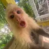 mariahhhh - @mariahhh.bennett - TikTok