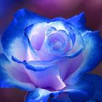 Mariah Blevins - Facebook