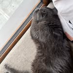 Maria Boyle - @maria_boyle2025 - Instagram
