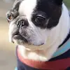 Mariah Bravo - @mariah.bravo2 - TikTok