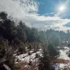Mariah Brock - @mariah.brock0 - TikTok