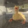Maria Cohen - @maria.cohen37 - TikTok