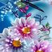 Maria Collier - Facebook