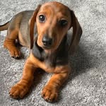 Maria Connolly - @maria.connolly.79219 - Instagram