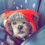 Maria Cornell - Facebook