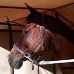 Maria Cornell - @maria_cornell - Instagram