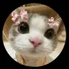 Maria Deaton - @mariadeaton0 - TikTok