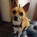 Maria Devine - Facebook