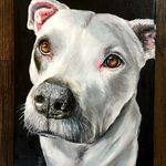 Mariah Donovan - @mariahraynefineart - Instagram