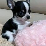 Mary Tatnai - Facebook