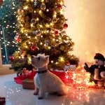 Maria Fallon - @maria1.fallon - Instagram
