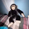 itzmariahhh_.💜🫟♏️ - @mariahferrell - TikTok